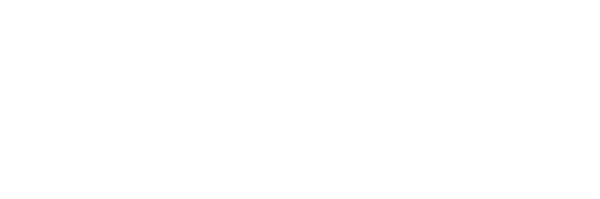 NetPrint_logo_white