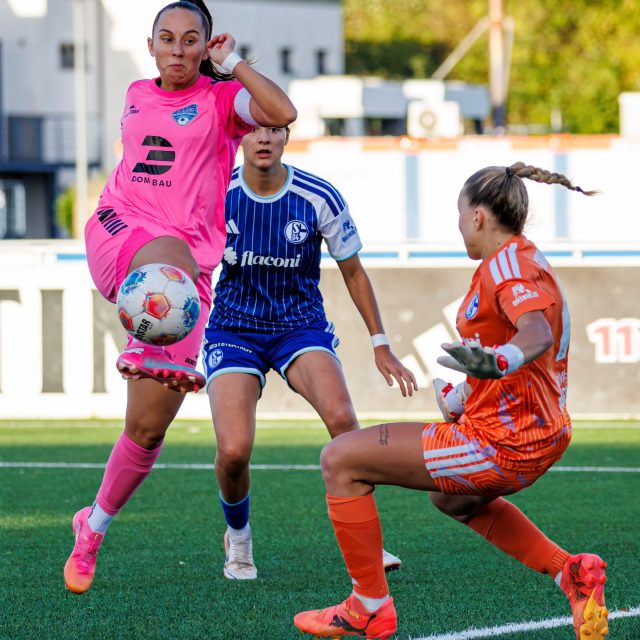 💙🤍 𝙎𝙥𝙞𝙚𝙡𝙩𝙖𝙜 5 📸 Teil 2

Das Spiel ist vorbei, der Blick geht Voraus aufs nächste Wochenende 👍

Dennoch nehmen wir euch hier nochmal mit auf eine Bilderserie unseres Teamfotografen.

📸 @ric.baumert 
______

@dombaugmbh 
@caseapartments 
@burghotel_volmarstein 
@mcdonaldsde 
@derbystar
@experka_ 
@bauenundleben